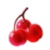 1691380566791421.jpg