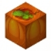1691399015240357.jpg