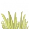 1691400101678595.jpg
