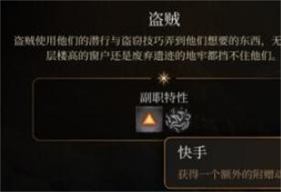 1691478542280.jpg
