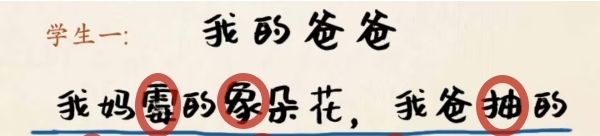 1691657198419.jpg