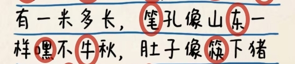 1691657204337.jpg