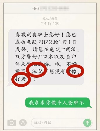 1691658009430.jpg