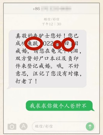 1691658009620.jpg