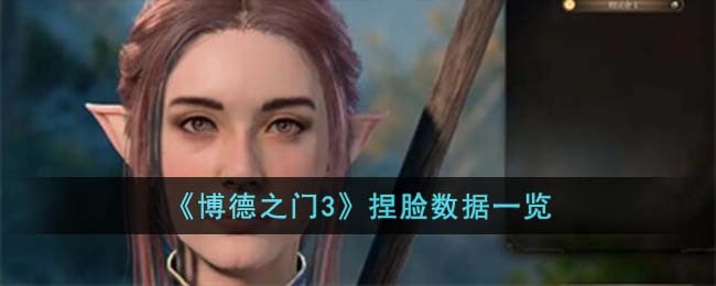 博德之门3捏脸数据男