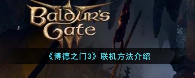 博德之门3 联机