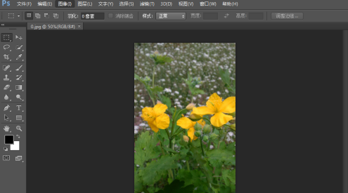 photoshopexpress