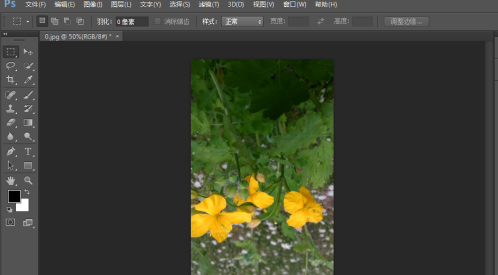 photoshopexpress