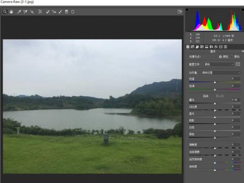 adobe(adobe acrobat)
