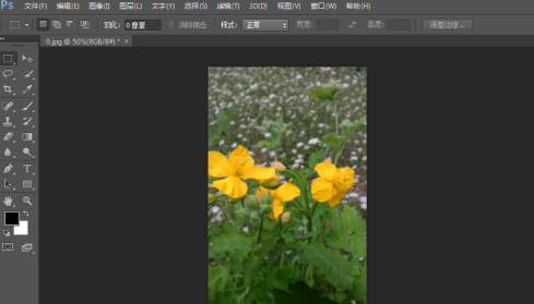 photoshopexpress