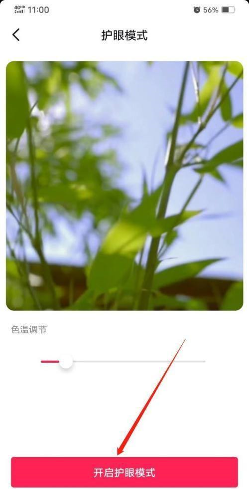 抖音极速版颜色怎么设置