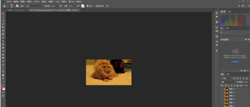 photoshop(photoshop怎么下载)