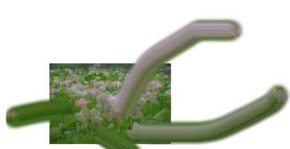 photoshop下载