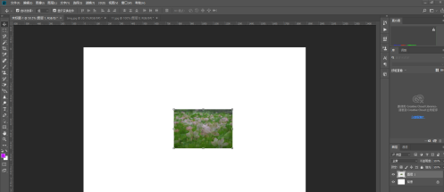 photoshop(photoshop下载)