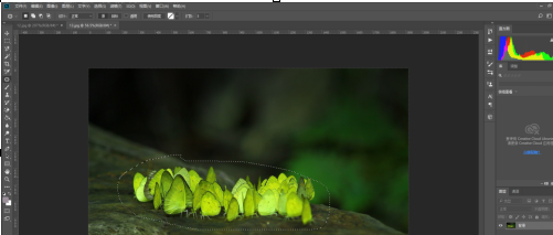 photoshop7.0
