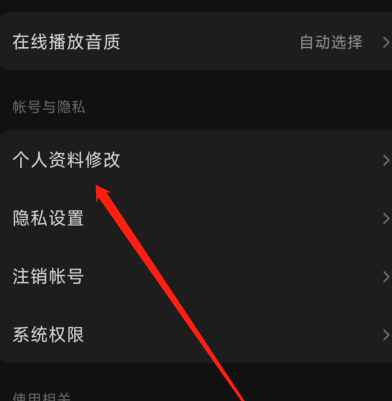 汽水音乐pc版下载