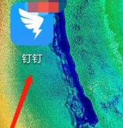 钉钉怎么下载安全白皮书(钉钉安全白皮书)