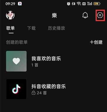 汽水音乐黑名单在什么地方(汽水音译)