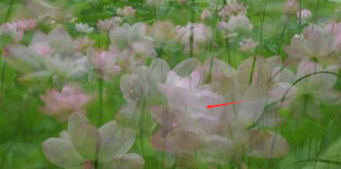 photoshop绿色版