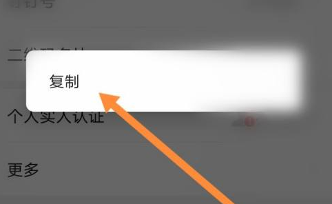 钉钉游戏代码可复制
