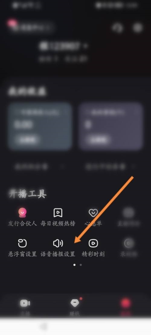快手直播伴侣怎么设置观众匿名