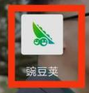 豌豆荚怎样查看关于豌豆荚(豌豆荚怎么变成五级豌豆荚)