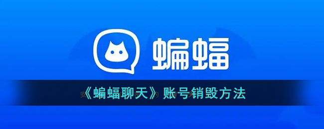 蝙蝠聊天软件电脑版
