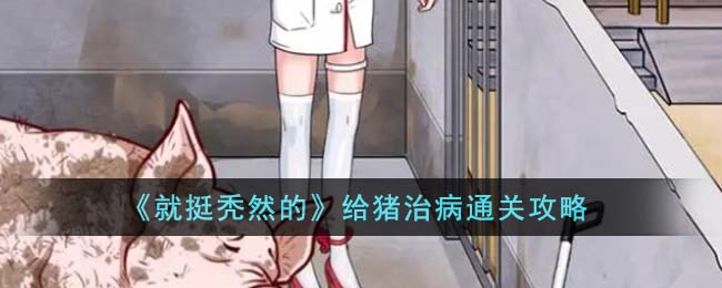秃然全部通关攻略