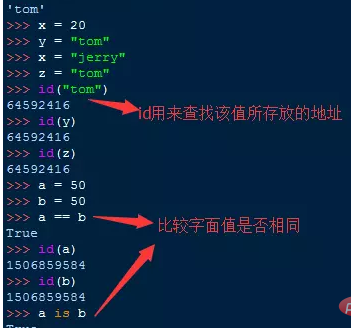 python怎么用input输入一个数组