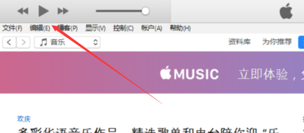 苹果手机itunes怎么用