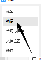 wps文档取消首字母大写