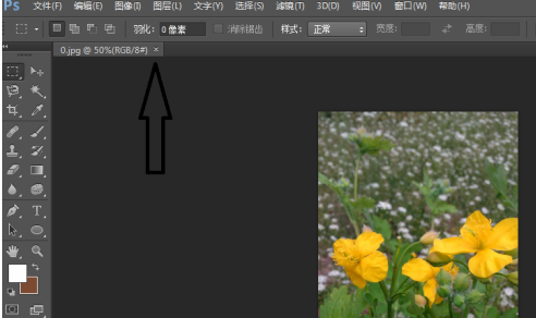 photoshop cs6