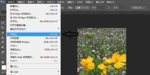 photoshop cs6