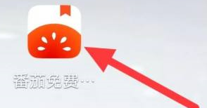 番茄小说怎样查看更多番茄自制()