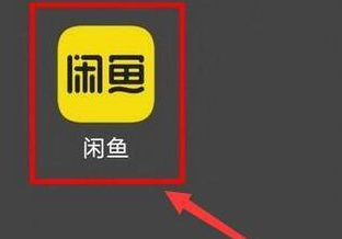 闲鱼如何查看闲鱼币获取情况(闲鱼如何查看闲鱼币)
