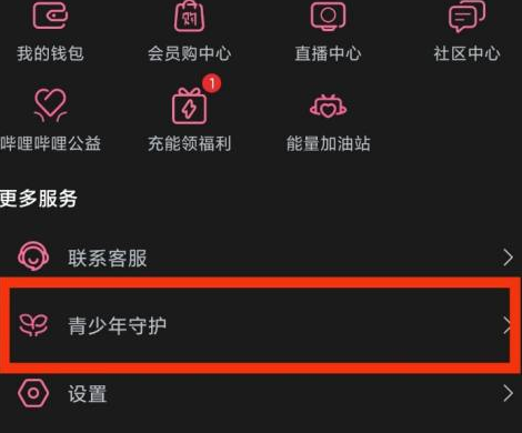 哔哩哔哩青少年守护在什么位置