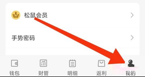 松鼠记账密保问题怎么设置(密保问题怎么设置)
