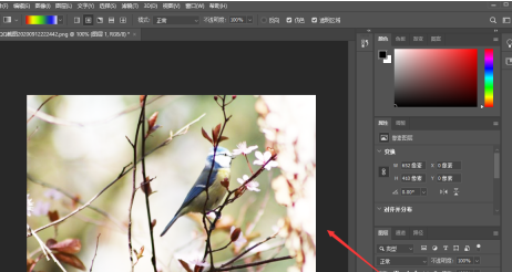 photoshop脖子和脸亮度不一样