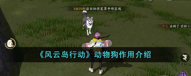 风云岛行动犬神在哪