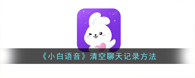 小白语音的钱可以追的回来吗