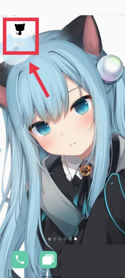 猫耳fm怎么查看动态(如何查看猫儿FM的更新)