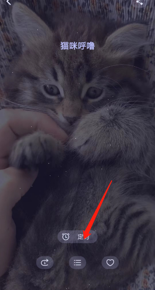 如何开启猫儿FM对焦模式定时关闭