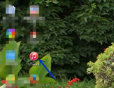 iTunes怎么备份手机里的所有内容(如何使用iTunes备份手机上的所有内容)