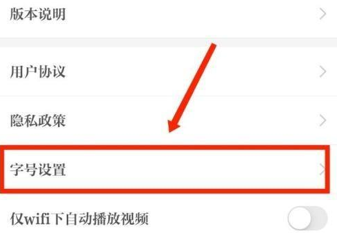 如何更改机密性的字体大小