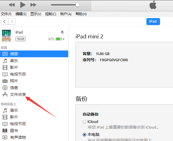 如果iTunes 没有应用程序选项怎么办