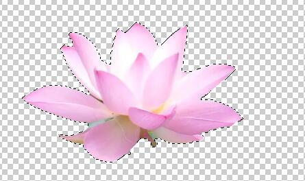Photoshop