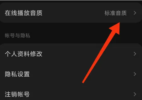 如何设置苏打音乐的音质
