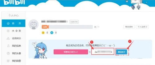 b站邀请码怎么使用