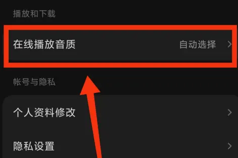 如何设置苏打音乐的音质