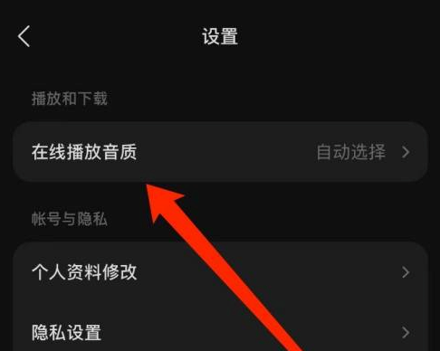 在线播放苏打音乐如何设置音质